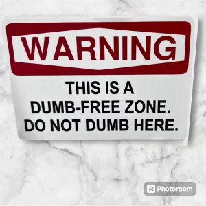 DUMB FREE ZONE STICKERS by KILLER GRAFFIX RATROD HOTROD FORD GM RACECAR